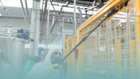 Live My Life: In the Shoes of an Expert Hygiene Auditor